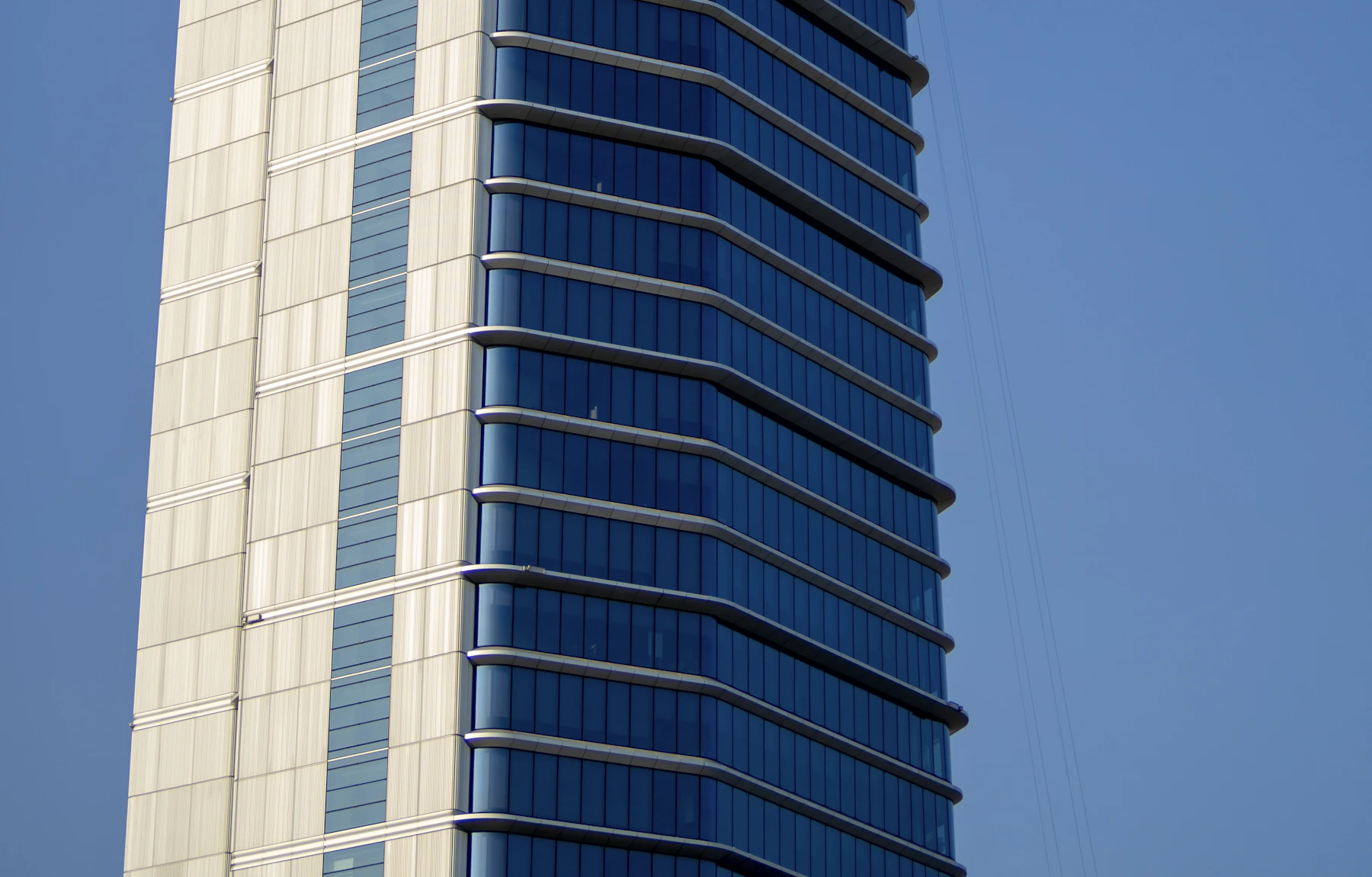 Business Development Consulting